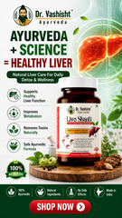 Dr. Vashisht Ayurveda Livo Shanti Liver Care Capsules – Ayurvedic Liver Detox & Digestive Support | With Kalmegh, Giloy, Triphala & Bhumi Amla | 30 Capsules (500 mg Each)