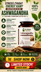 Dr. Vashisht Ayurveda Ashwagandha Capsules 500mg | With 5% Withanolides | Stress Relief, Energy, Stamina & Mental Calm | 100% Herbal Extract | 30 Capsules