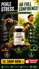 Dr. Vashisht Ayurveda Ashwagandha Capsules 500mg | With 5% Withanolides | Stress Relief, Energy, Stamina & Mental Calm | 100% Herbal Extract | 30 Capsules