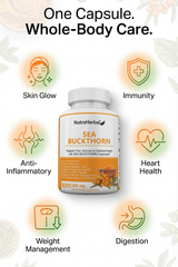 NutraHerbal Sea Buckthorn Capsules 500mg | Rich in Omega 3, 6, 7 & 9 | Skin, Hair & Immunity Support | 100% Herbal | 60 Capsules