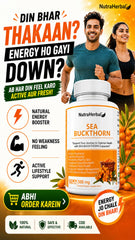 NutraHerbal Sea Buckthorn Capsules 500mg | Rich in Omega 3, 6, 7 & 9 | Skin, Hair & Immunity Support | 100% Herbal | 60 Capsules