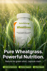 NutraHerbal Wheatgrass Capsules | Wheat Grass Capsule for Detox, Immunity & Energy | Rich in Chlorophyll, Vitamins & Antioxidants | 100% Ayurvedic | 60 Capsules