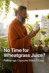 NutraHerbal Wheatgrass Capsules | Wheat Grass Capsule for Detox, Immunity & Energy | Rich in Chlorophyll, Vitamins & Antioxidants | 100% Ayurvedic | 60 Capsules