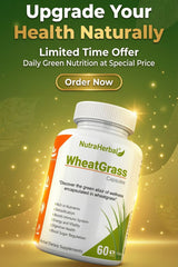 NutraHerbal Wheatgrass Capsules | Wheat Grass Capsule for Detox, Immunity & Energy | Rich in Chlorophyll, Vitamins & Antioxidants | 100% Ayurvedic | 60 Capsules