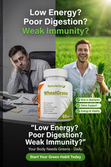 NutraHerbal Wheatgrass Capsules | Wheat Grass Capsule for Detox, Immunity & Energy | Rich in Chlorophyll, Vitamins & Antioxidants | 100% Ayurvedic | 60 Capsules