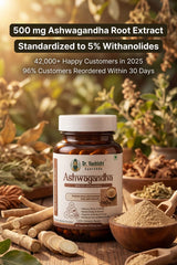 Dr. Vashisht Ayurveda Ashwagandha Capsules 500mg | With 5% Withanolides | Stress Relief, Energy, Stamina & Mental Calm | 100% Herbal Extract | 30 Capsules