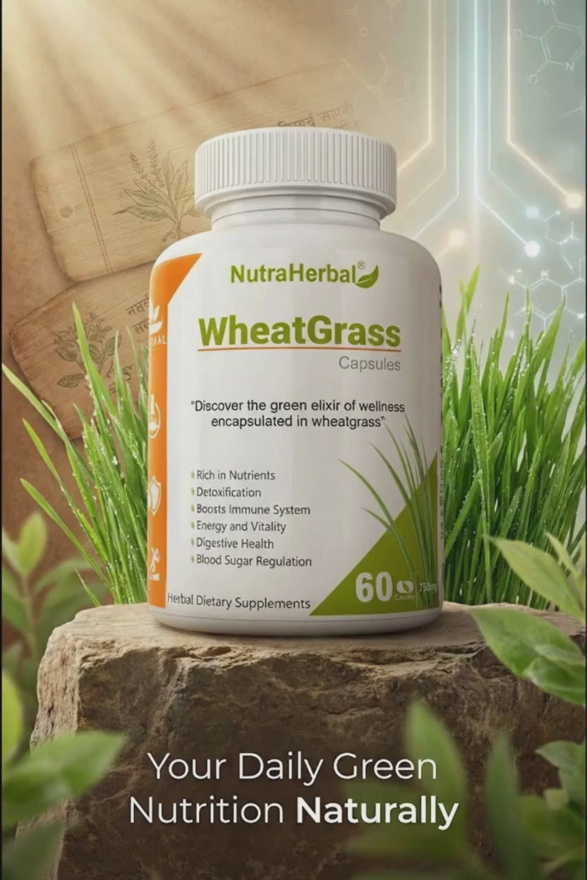 NutraHerbal Wheatgrass Capsules | Wheat Grass Capsule for Detox, Immunity & Energy | Rich in Chlorophyll, Vitamins & Antioxidants | 100% Ayurvedic | 60 Capsules